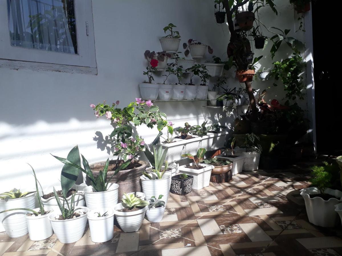 Bumimi Homestay Painan Luaran gambar