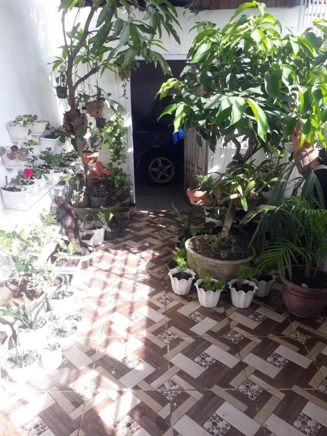 Bumimi Homestay Painan Luaran gambar